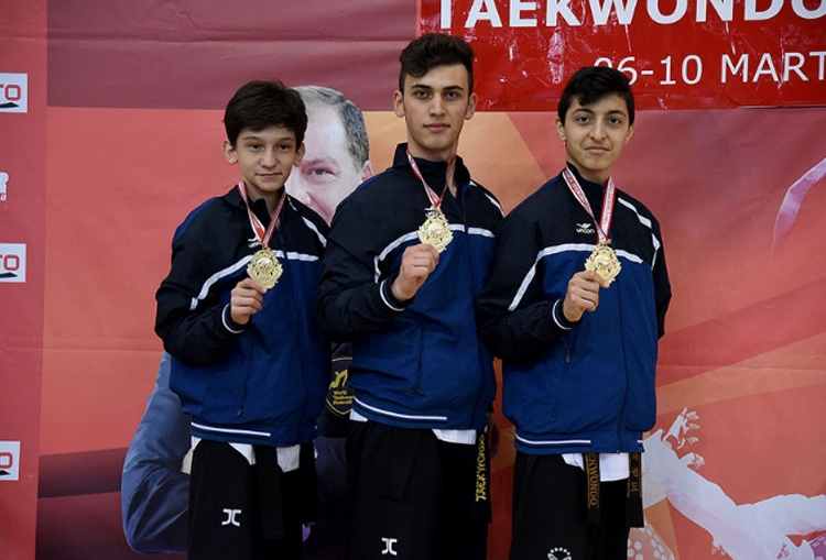 Poomse Taekwondo Türkiye Şampiyonası 2017 gorseli